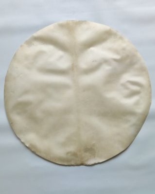 Peau d'élan djembé fine rasée XL