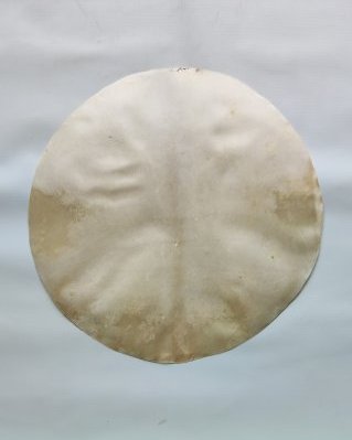 Peau d'élan djembé semi-épaisse rasée M