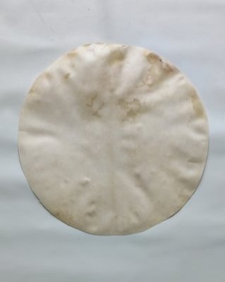 Peau d'élan djembé fine rasée M