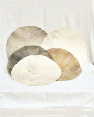 Lot 5 peaux de cervidés tambour djembé rasées déclassées M