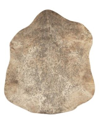 Peau de chèvre djembé Sahel marron mouchetée fine