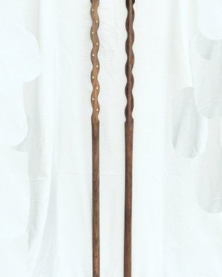 Manche kamélé ngoni 10 cordes