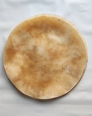 Peau de buffle / taureau / boeuf tambour très très épaisse sans poil L