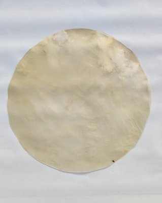 Peau de cheval djembé très fine sans poil L