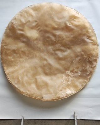 Peau de boeuf / vache tambour semi-épaisse sans poil XXL