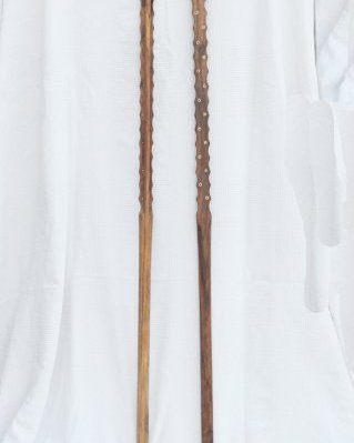 Manche kamélé ngoni 14 cordes