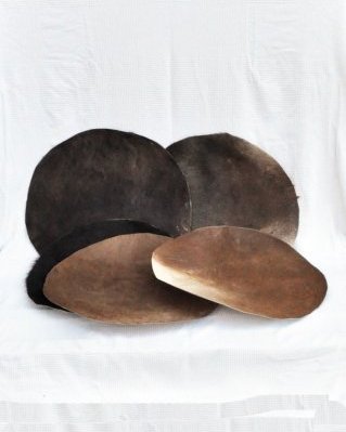 Lot 5 peaux d'équidés tambour djembé avec poils déclassées M