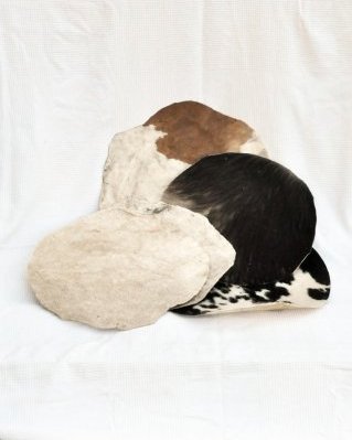 Lot 5 peaux de bovins tambour djembé avec poils déclassées S