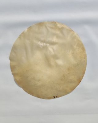 Peau de cheval djembé très fine sans poil M