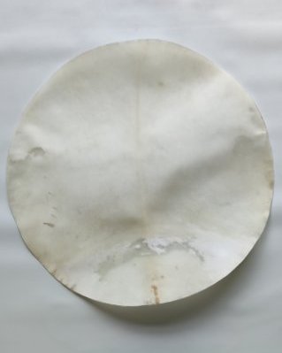 Peau d'élan djembé semi-épaisse rasée XL