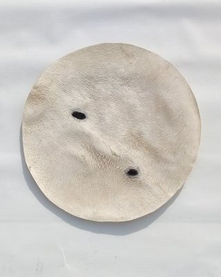 Peau d'âne djembé fine avec poils M