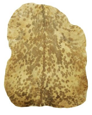 Peau de chèvre djembé Sahel blanche tachetée semi-épaisse