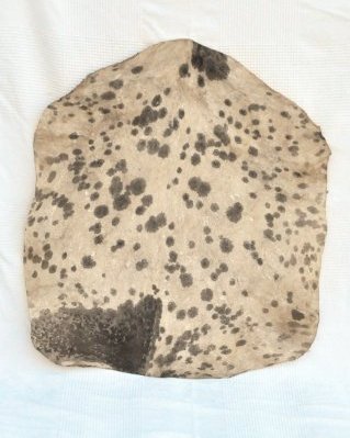 Peau de chèvre djembé Sahel blanche tachetée fine