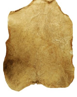 Peau de chèvre djembé du Sahel rasée semi-épaisse